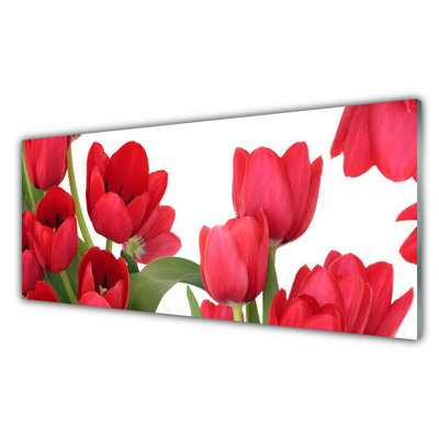 Quadro di vetro Tulipani Fiori Pianta