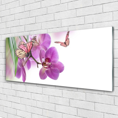 Quadro vetro Farfalle Fiori Natura