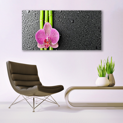 Quadro vetro Fiore di bambù Pianta Natura