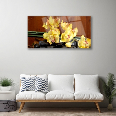 Quadro in vetro Pianta di orchidea da fiore