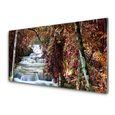 Quadro di vetro Cascata Foresta Natura