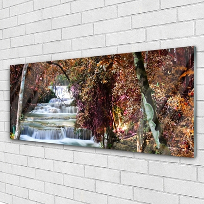 Quadro di vetro Cascata Foresta Natura