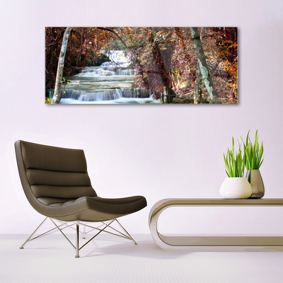 Quadro di vetro Cascata Foresta Natura