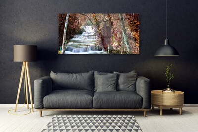 Quadro di vetro Cascata Foresta Natura