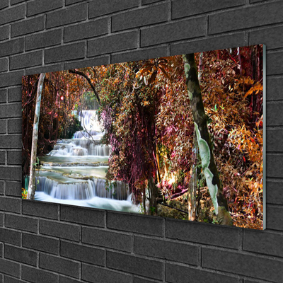 Quadro di vetro Cascata Foresta Natura