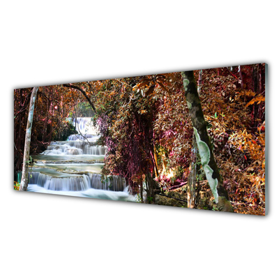 Quadro di vetro Cascata Foresta Natura