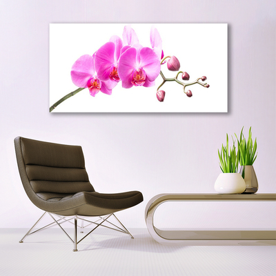 Quadro su vetro Fiori Pianta naturale