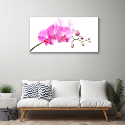 Quadro su vetro Fiori Pianta naturale