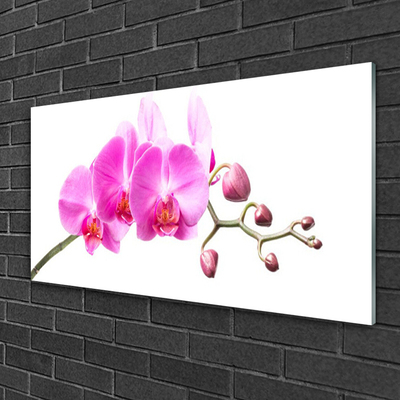 Quadro su vetro Fiori Pianta naturale