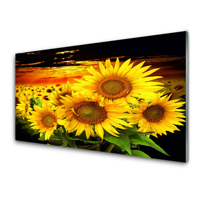 Quadro in vetro Pianta di girasole