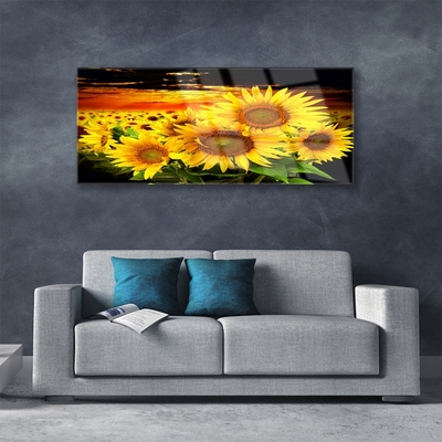 Quadro in vetro Pianta di girasole