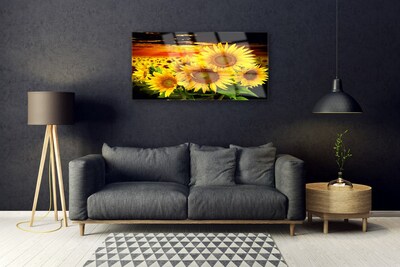 Quadro in vetro Pianta di girasole