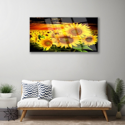 Quadro in vetro Pianta di girasole