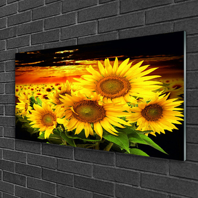 Quadro in vetro Pianta di girasole