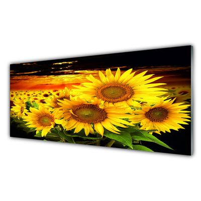 Quadro in vetro Pianta di girasole