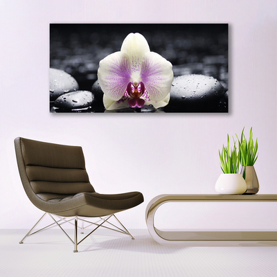 Quadro vetro Pianta di orchidea da fiore