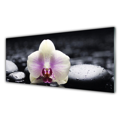 Quadro vetro Pianta di orchidea da fiore