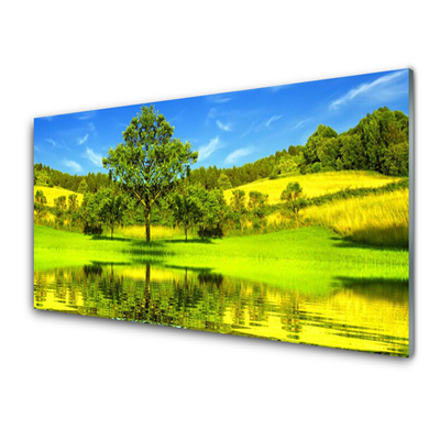 Quadro in vetro Prato Albero Natura