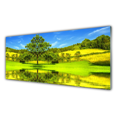 Quadro in vetro Prato Albero Natura