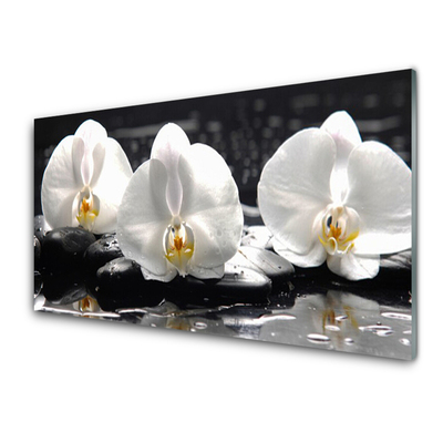 Quadro di vetro Fiore di orchidea bianco