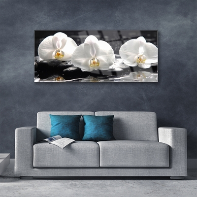 Quadro di vetro Fiore di orchidea bianco