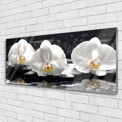 Quadro di vetro Fiore di orchidea bianco