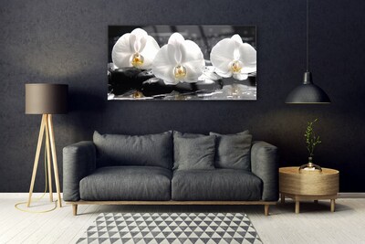 Quadro di vetro Fiore di orchidea bianco