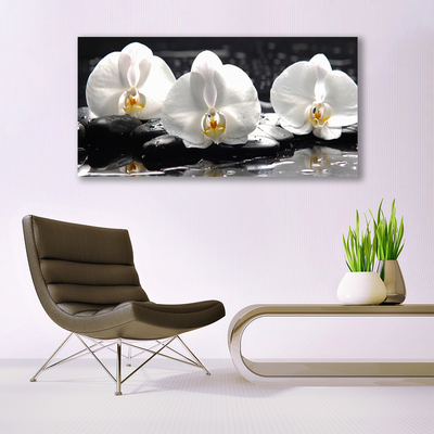 Quadro di vetro Fiore di orchidea bianco