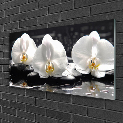 Quadro di vetro Fiore di orchidea bianco