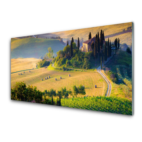 Quadro su vetro Campo Alberi Paesaggio