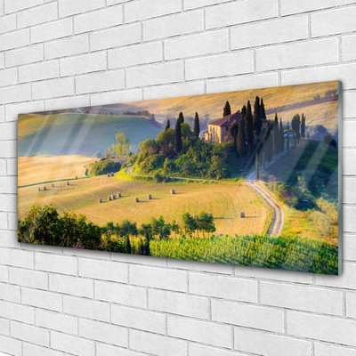 Quadro su vetro Campo Alberi Paesaggio