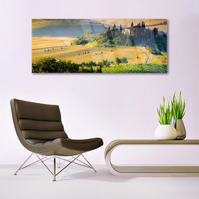 Quadro su vetro Campo Alberi Paesaggio