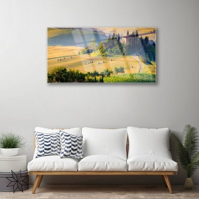 Quadro su vetro Campo Alberi Paesaggio