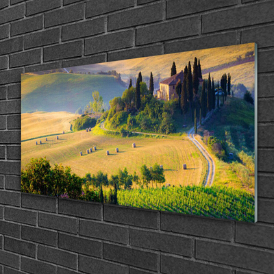 Quadro su vetro Campo Alberi Paesaggio