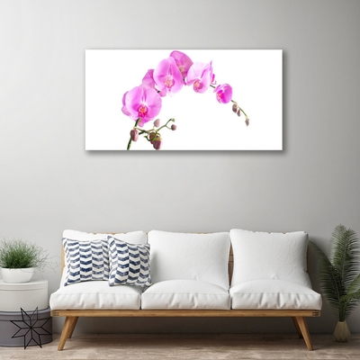 Quadro in vetro Fiori Pianta naturale