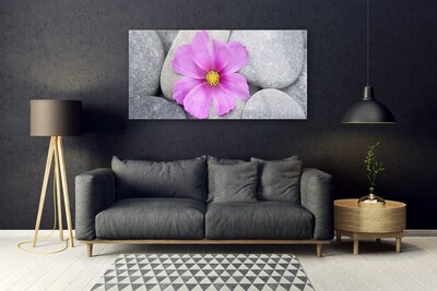 Quadro in vetro Pianta di fiori termali