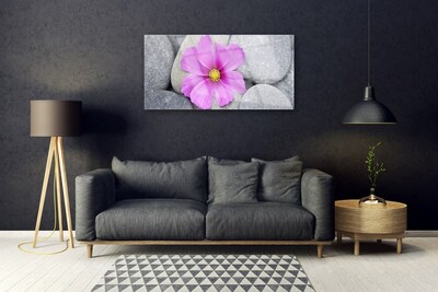 Quadro in vetro Pianta di fiori termali