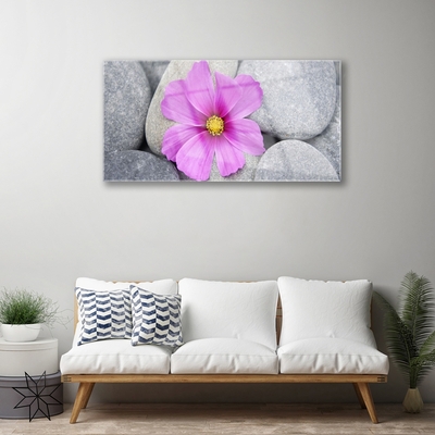 Quadro in vetro Pianta di fiori termali