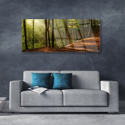 Quadro su vetro Foresta Alberi Natura