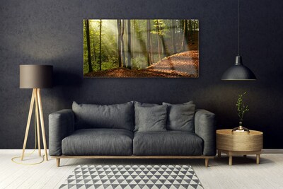 Quadro su vetro Foresta Alberi Natura