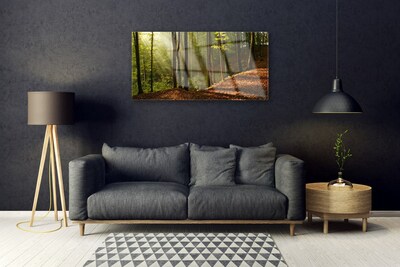 Quadro su vetro Foresta Alberi Natura