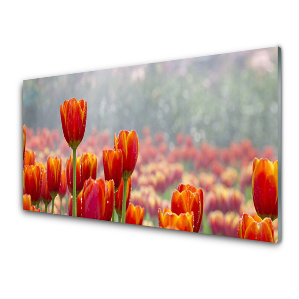 Quadro su vetro Tulipani Fiori Pianta