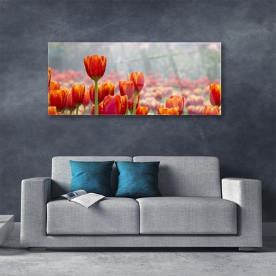 Quadro su vetro Tulipani Fiori Pianta