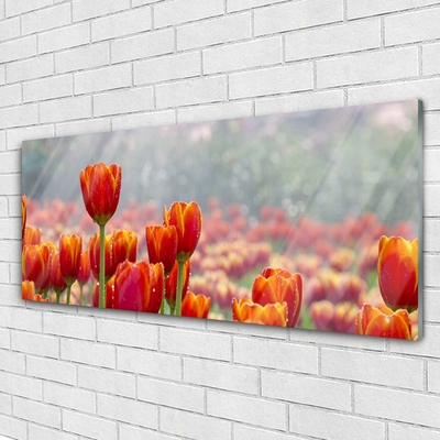 Quadro su vetro Tulipani Fiori Pianta