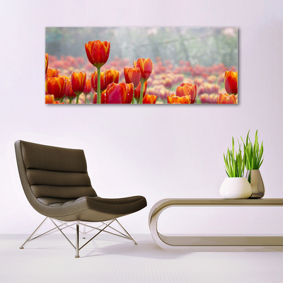 Quadro su vetro Tulipani Fiori Pianta