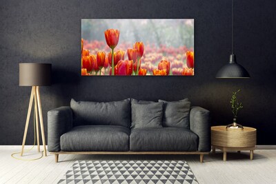 Quadro su vetro Tulipani Fiori Pianta