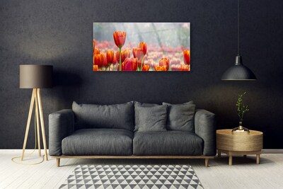 Quadro su vetro Tulipani Fiori Pianta