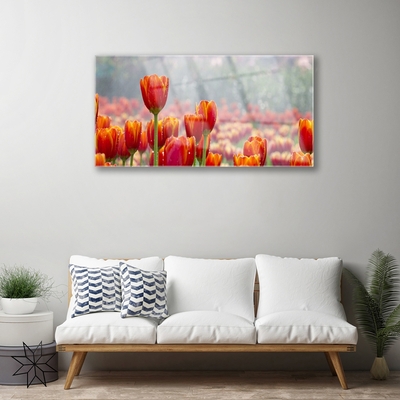 Quadro su vetro Tulipani Fiori Pianta