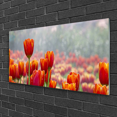 Quadro su vetro Tulipani Fiori Pianta