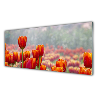 Quadro su vetro Tulipani Fiori Pianta